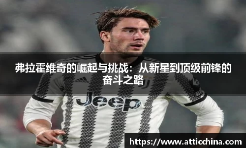 弗拉霍维奇的崛起与挑战：从新星到顶级前锋的奋斗之路